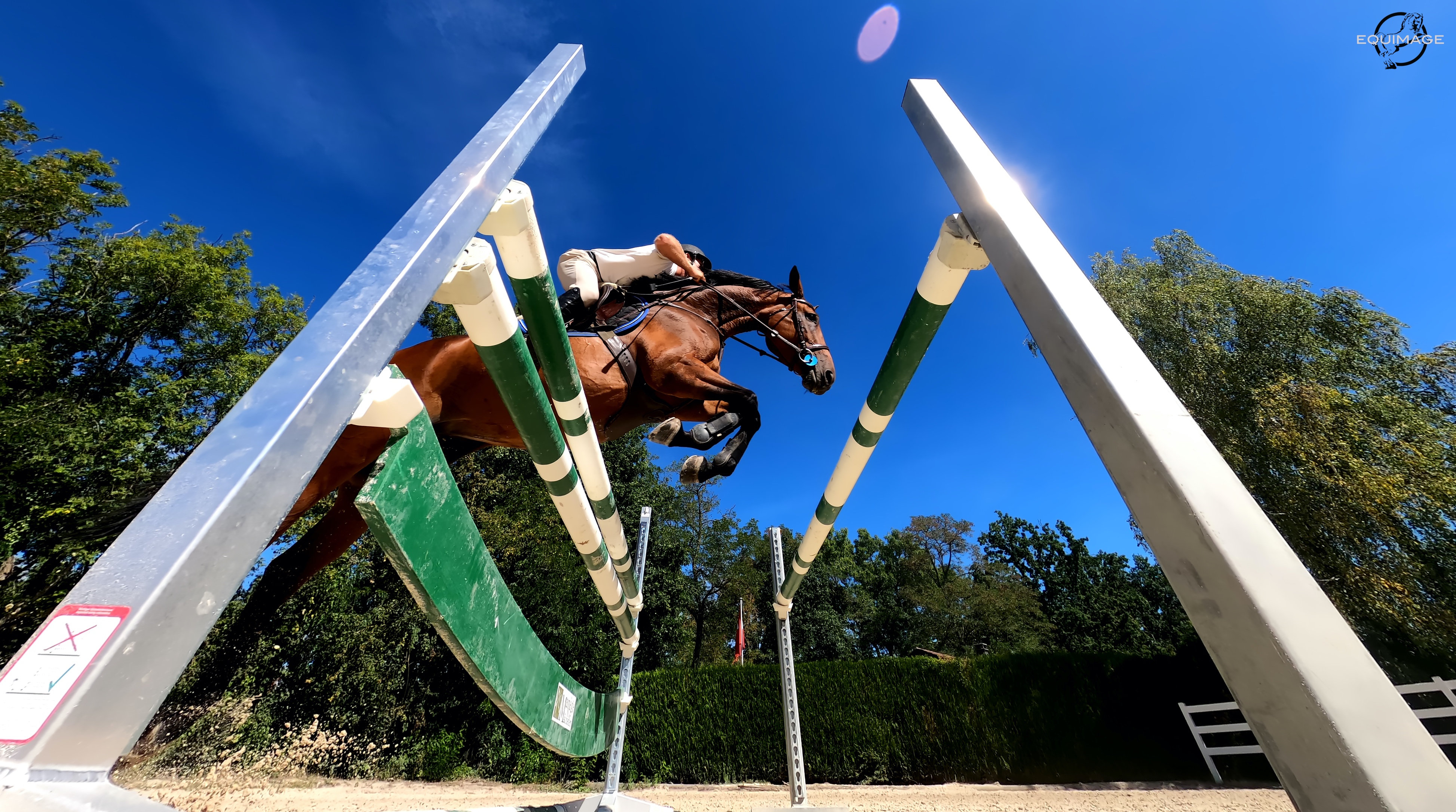 Poney