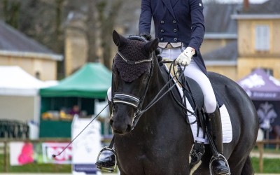 Challenge de dressage